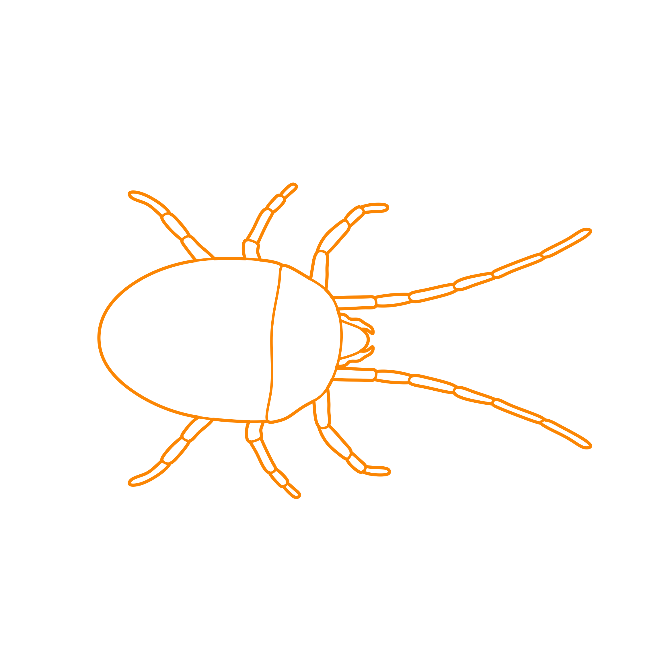 Animals Arachnids Clover Mite Sticker Svg Vector Free Vectors